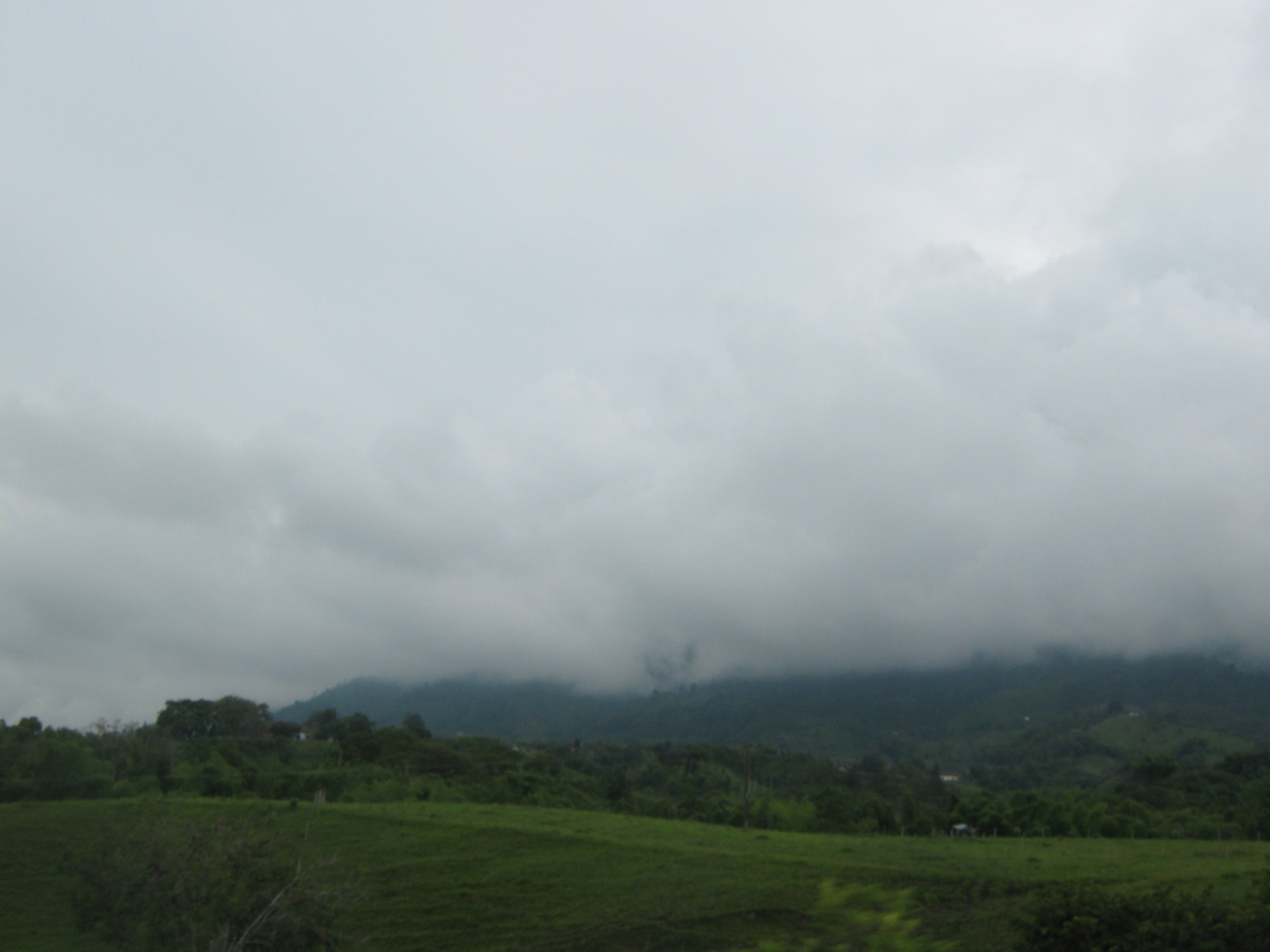 ./IMG_2394.JPG 