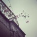 Thumbnail ./4c60f273a6ebdf722263db537c76afac.jpg 