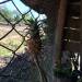 Thumbnail ./88bf67a52870a0260c25e36f3e7ac650.jpg 