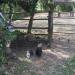 Thumbnail ./bb8080847bf50b952c545a5b093a52c5.jpg 
