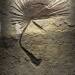 Thumbnail ./53a076cc13d5b03ad1f3ccbb243edd97.jpg 