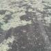 Thumbnail ./682c84a10319dca46e1336c09b5798d3.jpg 