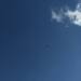 Thumbnail ./b964e9944f4e1f003776e79b2529a8a2.jpg 