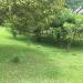Thumbnail ./2272a43380ad8bebf229487da10cb406.jpg 