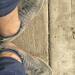 Thumbnail ./5659d7ab573c9431aeb08cb7d008d5ea.jpg 