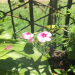 Thumbnail ./63d32cb2404486bb00bf5408a0736219.jpg 