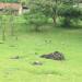Thumbnail ./8451e559bda049948ccd5b8846d73b1f.jpg 