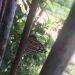 Thumbnail ./97cf72e0d744d0c593a97db0f9444d2d.jpg 