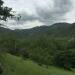Thumbnail ./a8a24ae198cd7bdf68896ed82001f14f.jpg 