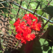 Thumbnail ./c3fa502507ecfb5482c48e90f8a22f46.jpg 