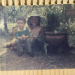 Thumbnail ./63113894060201ecf2d53246698b0046.jpg 