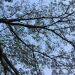 Thumbnail ./50f6a24b439d02ebb68b795406c77b3a.jpg 