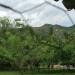 Thumbnail ./538e201a58406cf2c3287aea6d62beb6.jpg 