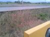 Thumbnail ./6b6264582484d09f53a9ebc87b254aec.jpg 