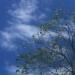 Thumbnail ./b0a411e3557fec80149147e3fce88214.jpg 