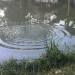 Thumbnail ./0c0743729fcaa9174baa1b8e05417577.jpg 