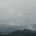 Thumbnail ./654f88802bde6522944be7c0407d491b.jpg 