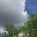 Thumbnail ./782dcb1c14255dab9cc95934b7ad6a68.jpg 