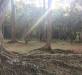 Thumbnail ./a6cdabaedc9ed4eb8527c839555fc4ce.jpg 