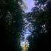 Thumbnail ./55a245c9f350e67fc8aaa0ee9211207f.jpg 