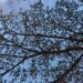 Thumbnail ./bcc9425d0104f5c1245f15dbe99c3a3e.jpg 