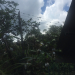 Thumbnail ./114a28d343448a31ca01b0989c4187b6.jpg 