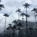 Thumbnail ./3a1d597d8394d0c380ded76350bc1439.jpg 