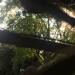Thumbnail ./6d1125ceca1053350fc846119b169c04.jpg 