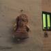 Thumbnail ./7638e5234b800b36f262f3b71c8fb673.jpg 