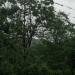 Thumbnail ./4fd888ae798ace8a357ce2ae0cd3a49d.jpg 