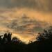 Thumbnail ./9cc38586e61d91fa8f7bb08d7648e502.jpg 