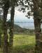Thumbnail ./f7e5ac092fe85daf1bd9035e6b95d4b8.jpg 