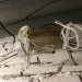 Thumbnail ./ade42919f0e1cfaa78a50bc0ff1357e9.jpg 