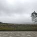 Thumbnail ./15d7643960e3af0728091851a05a67bd.jpg 