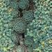 Thumbnail ./64d0236b02d7bca87c3cd53d71252efc.jpg 