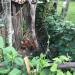 Thumbnail ./cbe65df5c9c22386d48c69d77aef6722.jpg 