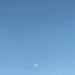 Thumbnail ./16c6e22584e1a1c230b7bd81a9a55d40.jpg 