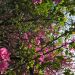 Thumbnail ./8ddedb08163b71a695b0fbd3f2321bf2.jpg 