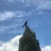 Thumbnail ./9a644e8dbde34e7815035ef3395c0514.jpg 