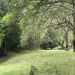 Thumbnail ./2d7ecb4db7b4b65a9c8e4adf584e9fcb.jpg 