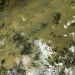 Thumbnail ./48001cd2a699b39520d4447c7529a87e.jpg 