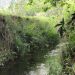 Thumbnail ./82a577269ab191cdd403cae0b19dca49.jpg 