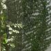 Thumbnail ./ec423e79cf75ede77c1351fb1be9f45b.jpg 
